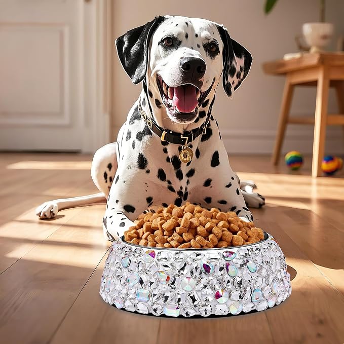 SlowVibes Bling Stainless Steel Dog Bowls,18oz Removable Diamond Metal Food Water Bowl for Feeding Dogs,Rust Resistant Non-Slip Puppy Dish,Sparkle Rhinestone Essentials for Medium Large Girl Pets