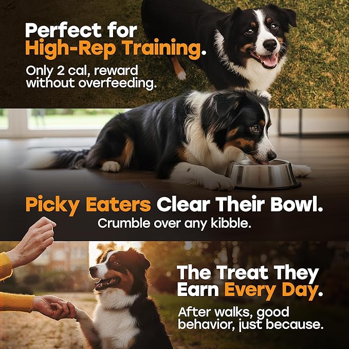 Turkey Day Treats & Meal Topper – Freeze-Dried Turkey Dog Treats, Kibble Mixer with Pumpkin & Sweet Potato – 30% Single Protein, Grain-Free Training Treats – Made in USA, 5.5 oz