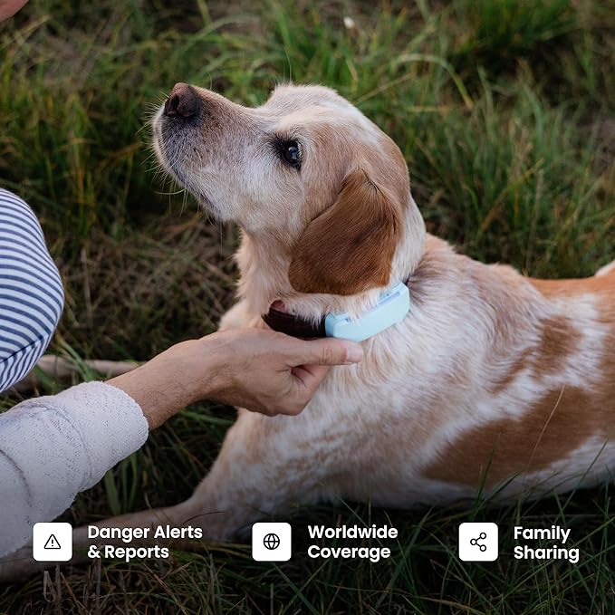 Tractive Smart Dog GPS Tracker with 6 Month Subscription | Live Pet Tracker with Virtual Fence | Vital Signs Monitoring of Heart & Respiratory Rate | Bark Monitoring | Dog Collar Attachment (Black)