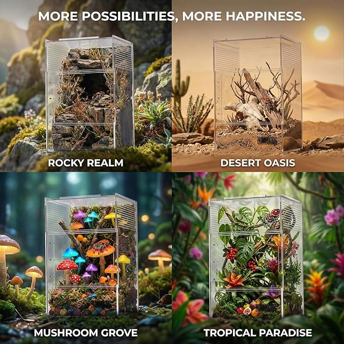 Jumping Spider Enclosure - Acrylic Terrarium Habitat for Spiders, Tarantulas, Snail, Mantis, Lizard, and Small Reptiles, Dual Magnetic Doors (6x6x9 inch)