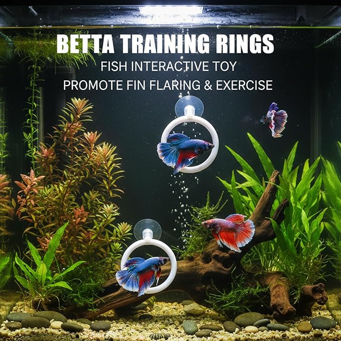 Betta Fish Tank Accessories, 3-Piece Set with 2 Training Rings and 1 Mirror with Floating Ball, Plastic Betta Fish Toys for Aquarium Enrichment