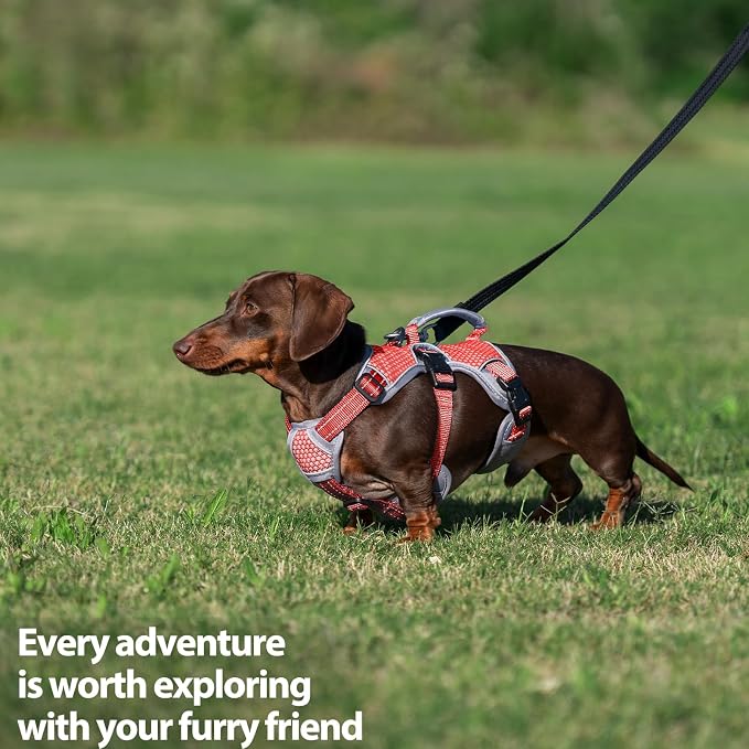 Escape Proof Dog Harness, Dachshund Harness, Reflective Dog Harness with Handle, Durable,Adjustable Vest for Small Medium Large Dogs Walking, Training, and Running Gear (Red,L)