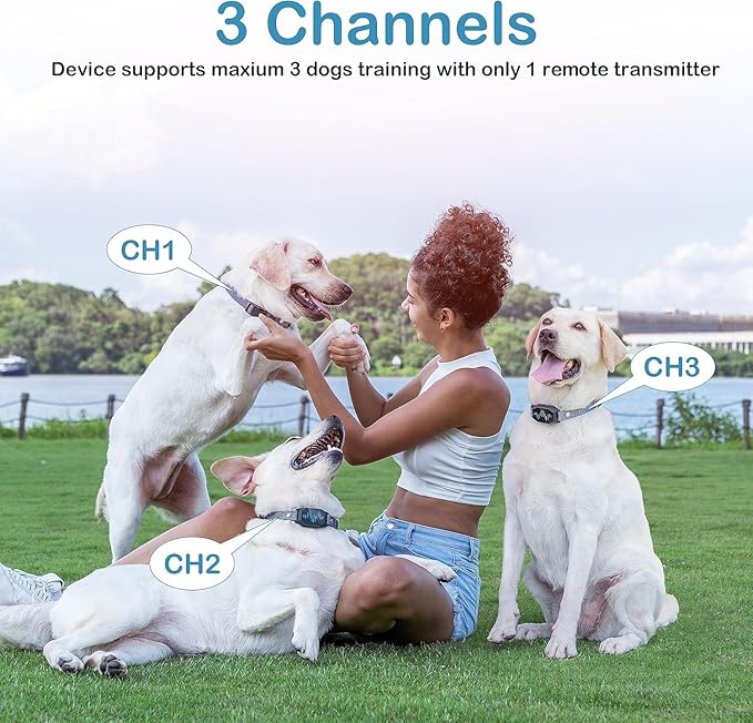 Dog Training Collar with Remote Control, 2500FT Coverage Range and 4 Training Modes, IP67 Waterproof Rechargeable E Collar for Dogs Training for All Breed