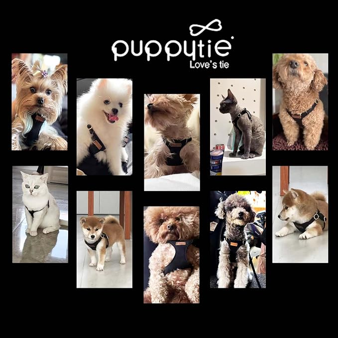 Puppytie Small Dog Harness with Multifunction Dog Leash,Lightweight Soft Adjustable No Choke Escape Proof Pet Harness Vest Pet Harness Vest,Black,M