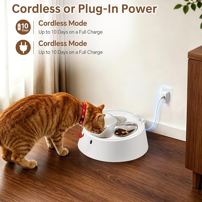 RFID Automatic Cat Feeder for Multi-Pet Households, Selective Microchip Pet Feeder with 3 Stainless Bowls (1 Public, 2 Hidden), Prevents Food Stealing, Special Diet Dispenser, Dual Power