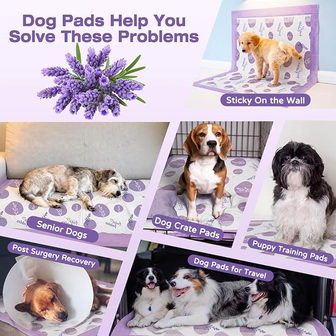 Lavender Puppy Pads-24"x 24", 50 Count Disposable Dog Pee Pads | 6-Layer Super Absorbent Quick Dry Leakproof Dog Pads with Adhesive Tabs, Odor Control Pee Pads for Dog Indoor Crate Training