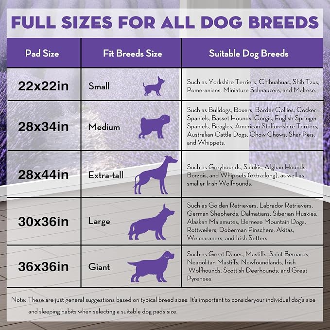 CROCI Puppy Pads with Adhesive Tabs Attractant Lavender Scent 22x22in 100Ct | Super Absorbent Pee Pads for Small Dogs Holds Up to 3 Cups of Urine, 6-Layers, Quick-Dry Surface, Leak-Proof, Disposable