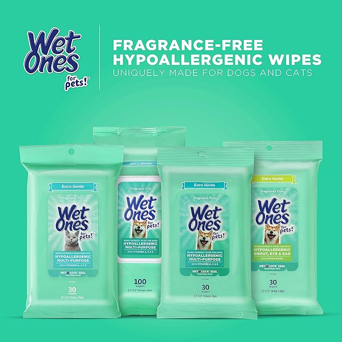 Wet Ones for Pets Extra Gentle Dog Wipes with Witch Hazel - Fragrance-Free, Hypoallergenic Pet Grooming Wipes for Snout, Eye, and Ear Areas, Sensitive Skin, 30 Count
