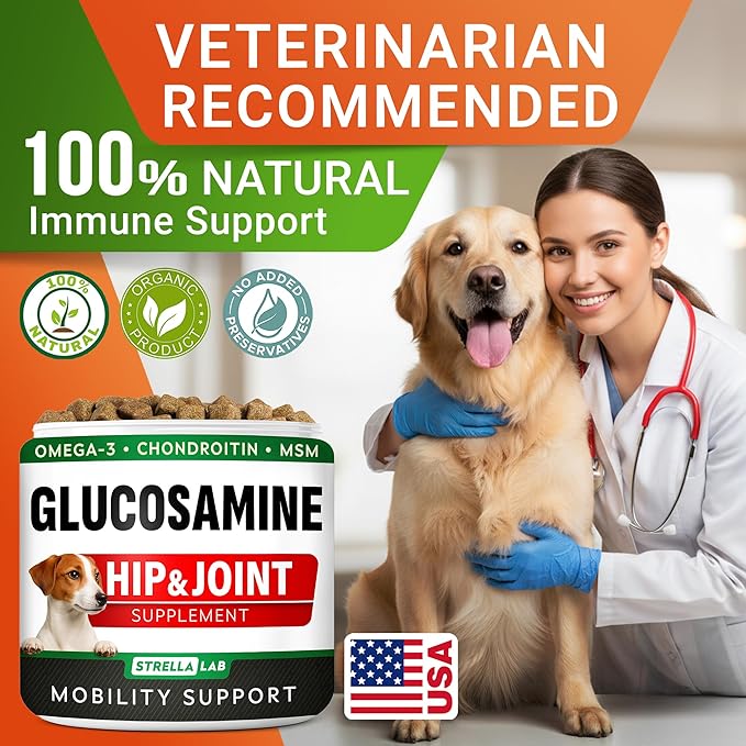 Glucosamine Treats for Dogs - Joint Supplement w/Omega-3 Fish Oil - Chondroitin, MSM - Advanced Mobility Chews - Joint Pain Relief - Hip & Joint Care - Chicken Flavor - 120 Ct - Made in USA