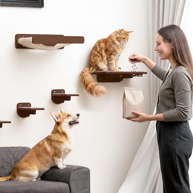 Cat Wall Shelves - Wall Mounted Cat Shelves with Feeding Station | Walnut Finish, Solid Pinewood, Beige Carpet, Supports Up to 33 lbs, Stainless Bowls, Dog-proof, Lounging, Climbing