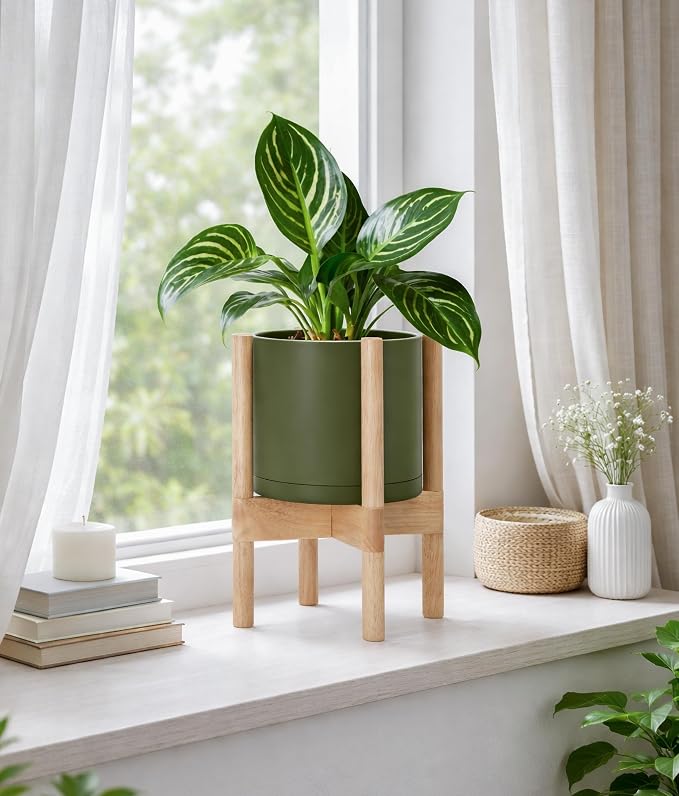 D'vine Dev Plastic Pot with Natural Wood Stand, Olive, 8 in, 55-C-J-3 | Mid-Century Inspired Design, Elevated Plant Display, Clean Lines, Sturdy Support, Modern Space-Saving Style
