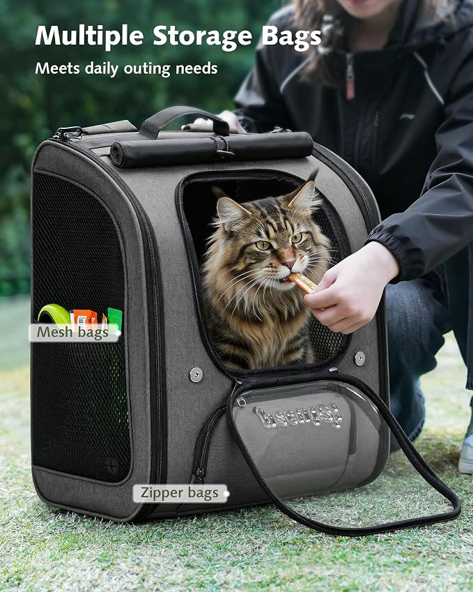 Pecute Cat Backpack Carrier,Large Space Cat Bubble Backpack,Ergonomic,Gray | XXL,Sunshade Curtain,Transparent Window,Safety Rope,Sturdy,Large Mesh on Both Side for Breathability,Suitable for Outdoor,Vet