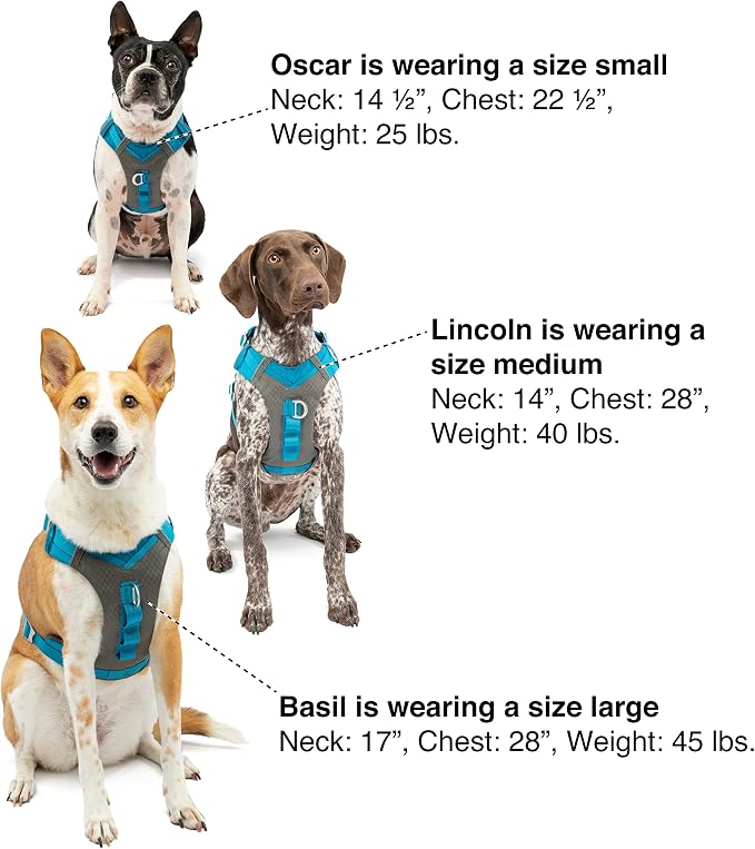 Kurgo Journey Air Dog Harness, Orange, Small | Padded Chest, Ripstop Outer & Breathable Mesh, Back Assist Handle, Rust-Free Aluminum Hardware, Reflective Trim