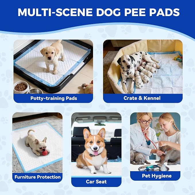 50 Count Extra Large Dog Pee Pads 30"x36", Super Absorbent & Leak-Proof Large Puppy Pads Fast-Drying, 50 Pack XXL Potty Pee Pads for Dogs, Puppies, Doggy