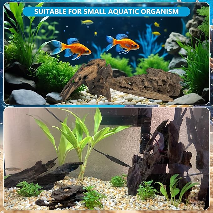 3 PCS Large Natural Honeycomb Wood 8-12", Porous Aquarium Driftwood, Cholla Wood Shrimp Shelter Breeding Cave, Shrimp Dragon Wood for Fish Tank, Aquascaping, Reptile, Terrarium Decor
