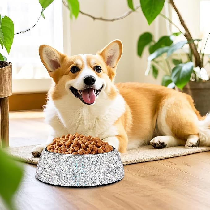 SlowVibes Bling Stainless Steel Dog Cat Bowl, Detachable, 12 oz | Rhinestone metal food or water bowl for small medium dogs and cats, rust-resistant non-slip puppy dish, sparkle pet essential
