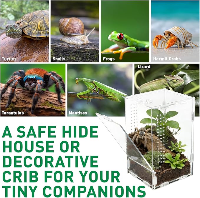 DARENYI Jumping Spider Enclosure, 7.8"x4.7"x4.3" Small Acrylic Terrarium Praying Mantis Enclosure with Front Door, Jumping Spider Habitat for Tarantula, Snail, Lizard, Crabs and Small Reptiles