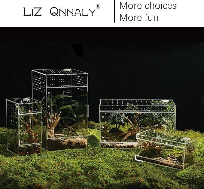 Acrylic Terrarium for Reptiles & Spiders – Small/Medium/Large Leak-Proof Enclosure (Horizontal/Vertical) | Ideal for Tarantulas, Jumping Spiders, Frogs & Geckos(Small, Horizontal)