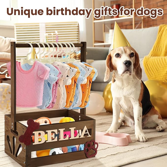 Teenyyou 20 x 13 x 9 Wooden Dog Closet Pet Wardrobe Crate Box with Hanging Rods and Personalized Alphabet Letters Easy Assembly Baskets for Dog Cat Toys Clothes Accessories(Dark Walnut)