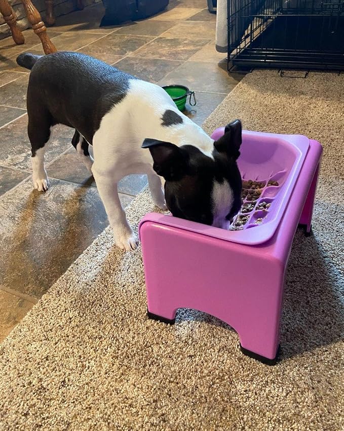 Fluff Trough Elevated Slow Feeder Dog Bowls | Slow Feeder Cat Bowl with Vet Approved & Non-Toxic Silicone Minimizes Neck Strain | Paced Eating Insert Designed for Flat-Faced Pets (Purple)