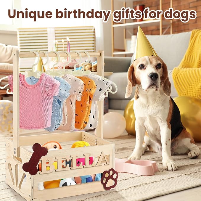 Teenyyou 20 x 13 x 9 Wooden Dog Closet Pet Wardrobe Crate Box with Hanging Rods and Personalized Alphabet Letters Easy Assembly Baskets for Dog Cat Toys Clothes Accessories(Wood)