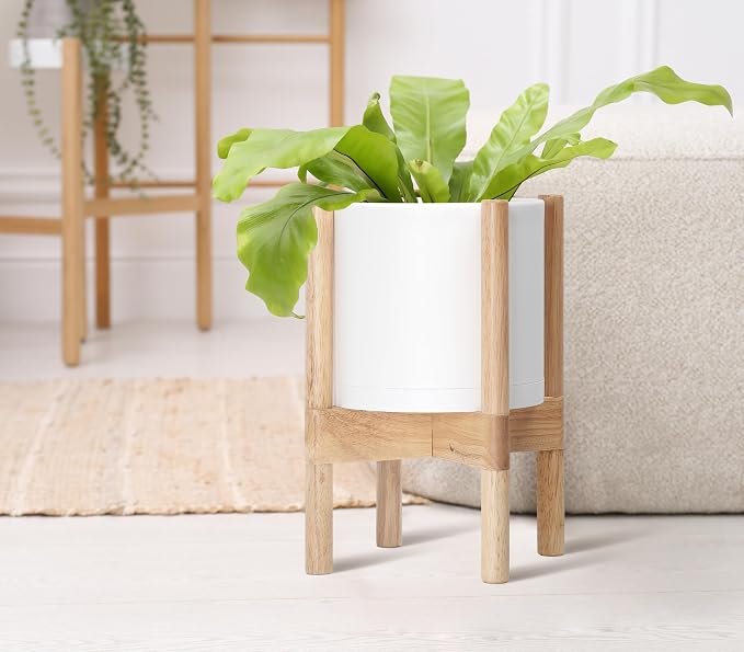 D'vine Dev Plastic Pot with Natural Wood Stand, White, 8 in, 55-C-J-1 | Mid-Century Inspired Design, Elevated Plant Display, Clean Lines, Sturdy Support, Modern Space-Saving Style