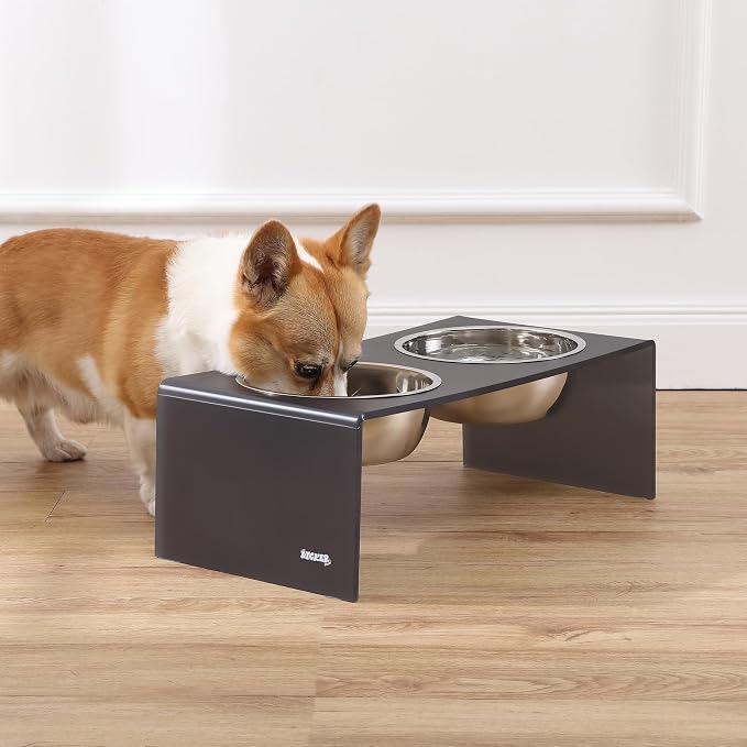 DBL2001J Keaton 7.5" Medium/Large Modern Acrylic Rectangular Elevated Pet Feeder with 54oz 2-Stainless Steel Bowls, Dark Gray/Chrome