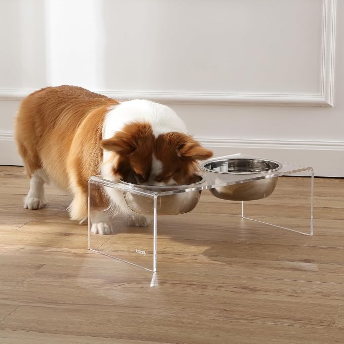 DBL2001A Keaton 7.5" Medium/Large Modern Lucite Rectangular Elevated Pet Feeder with 54oz 2-Stainless Steel Bowls, Clear/Chrome