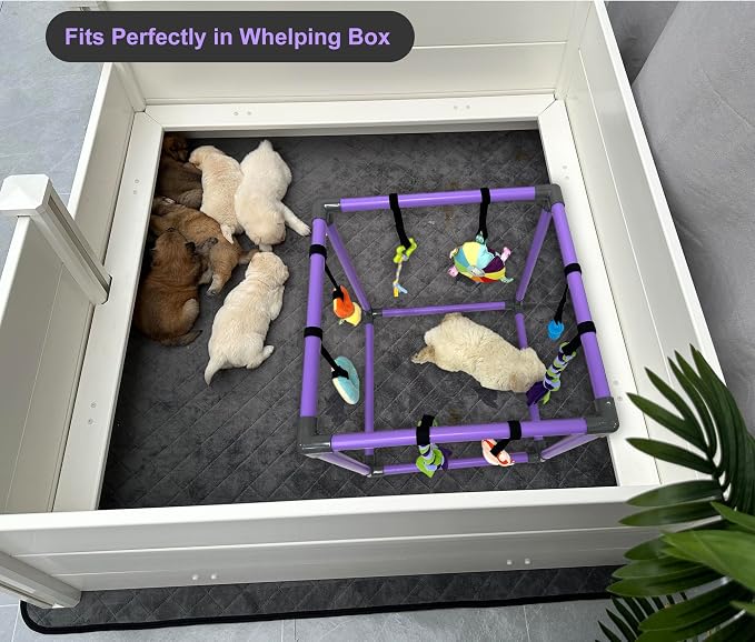Puppy Play Gym for small dogs with 8 Hanging Interactive Toys Indoor Play | Funny Enrichment Jungle Playground to Keep Them Busy,with Bungee Straps for self-play,19.5*19.5*19.5in
