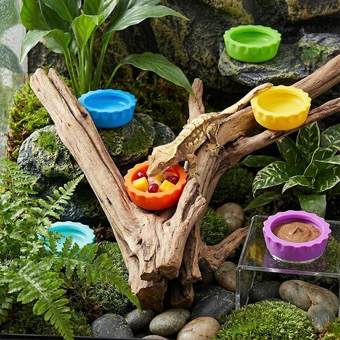 9 PCS Crested Gecko Food and Water Bowl Reusable Small Reptile Feeding Dish Gecko Tank Accessories for Hermit Crab Tarantula Isopods Lizard Easy Clean Silicone 7 Colors Includes Spoon