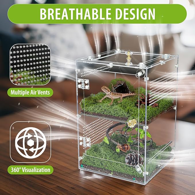 Acrylic Jumping Spider Enclosure with Removable Divider – 12"*8"*8" Large Reptile Terrarium for Praying Mantis, Arboreal Tarantula, Snails, Lizard, Gecko, Secure Habitat with Front Door & Top Lid