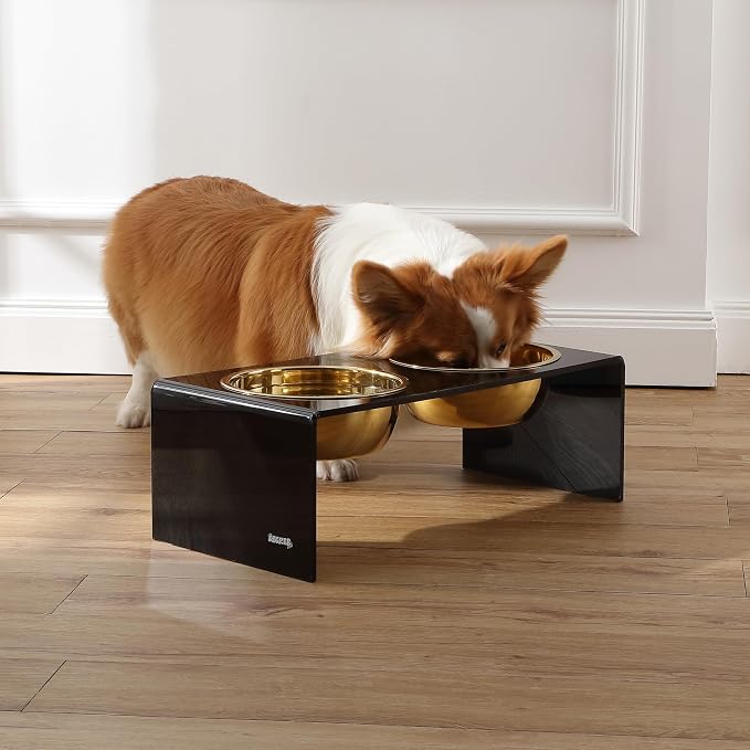 DBL2001B Keaton 7.5" Medium/Large Modern Lucite Rectangular Elevated Pet Feeder with 54oz 2-Stainless Steel Bowls, Black/Gold