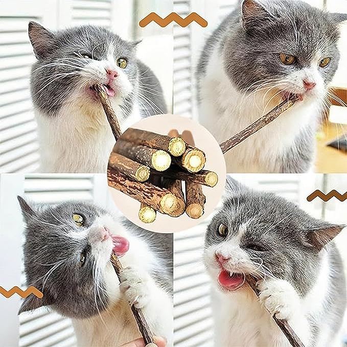 Cat Chew Toys Cat Toys, Silvervine Sticks for Cats Teeth Cleaning Rope, Kitten Teething Dental Care, Kitty for Indoor Cats Increase Appetite, Enhances Oral & Dental Health (20 Pack)
