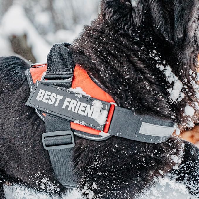 Personalized Dog Harness with Custom Name Patches, Adjustable Reflective No Choke Dog Vest with Handle for Small Sized Dog, Black, S