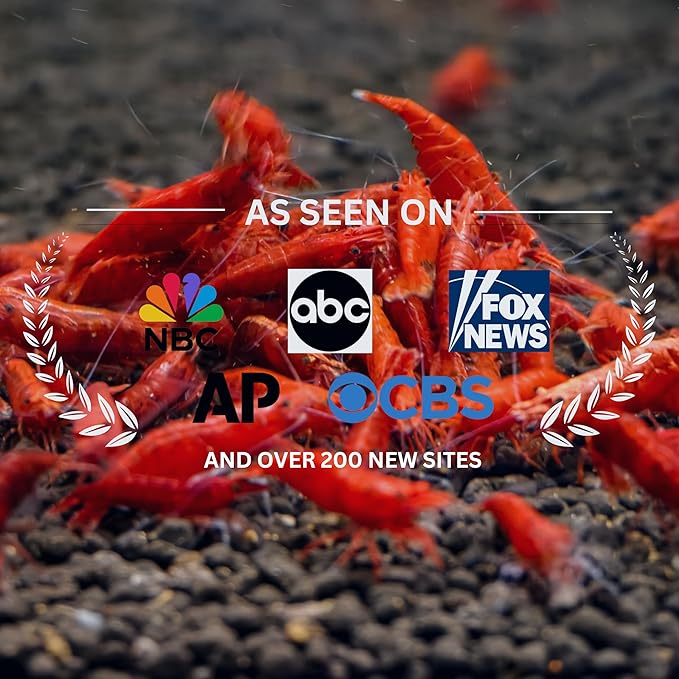 Fire Red Premium High-Grade Cherry Shrimp Neocaridina Freshwater Aquarium, Live Shrimp Freshwater Aquarium Live Arrival Guarantee (Pack 10)
