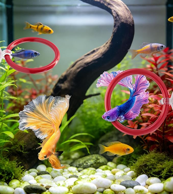 Betta Fish Toys,Including Betta Feeding Ring and Floating Betta Sports Mirror,Betta Enrichment Toys for Small Tank,Betta Fish Tank Accessories