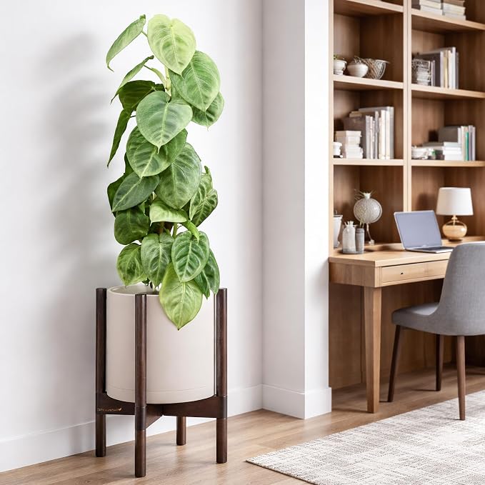 D'vine Dev Plastic Pot with Walnut Wood Stand, Oatmeal, 10 in, 55-C-L-4 | Mid-Century Inspired Design, Elevated Plant Display, Clean Lines, Sturdy Support, Modern Space-Saving Style