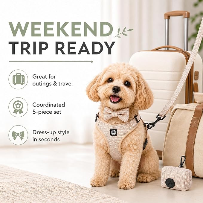 EVERKING 5-Piece Dog Travel Set, Adjustable Harness, Leash, Collar, Poop Bags, Bowtie for Small Medium Dogs, Beige, Breathable No-Pull Design (Beige, M)