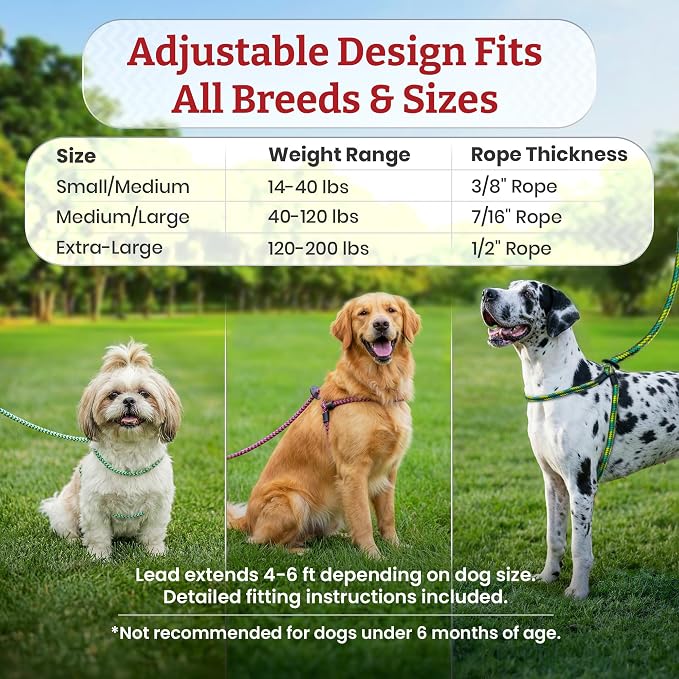 Harness Lead No Pull Dog Harness and Leash Set, Anti Pull Dog Harness, One-Piece Cushioned Rope Safely Prevents Escaping and Pulling (Small/Medium, Rainforest)