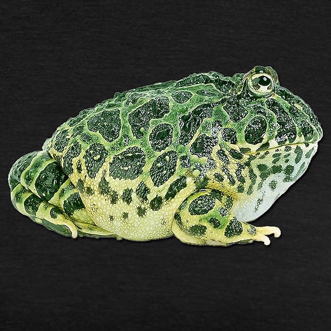 CafePress FIN Pacman Frog Womens Tri Blend T Shirt Women's Tri-Blend T-Shirt