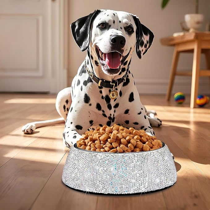 SlowVibes Bling Stainless Steel Dog Cat Bowl, Detachable, 18 oz | Rhinestone metal food or water bowl for medium large dogs and cats, rust-resistant non-slip puppy dish, sparkle pet essential