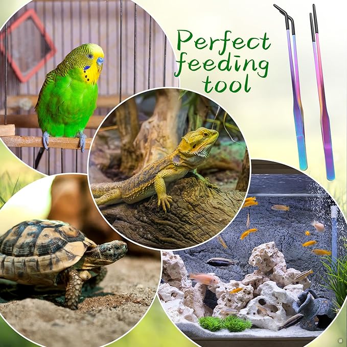 2PCS Stainless Steel Reptile Feeding Tongs with Rubber Tip, 10.6" Straight & Curved Long Tweezers, Perfect for Aquariums & Crafts - Ideal Bearded Dragon & Snake Tank Accessories, Terrarium Supplies