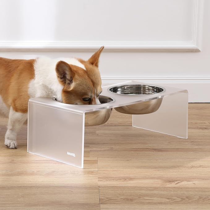 DBL2001K Keaton 7.5" Medium/Large Modern Acrylic Rectangular Elevated Pet Feeder with 54oz 2-Stainless Steel Bowls, Moon White/Chrome