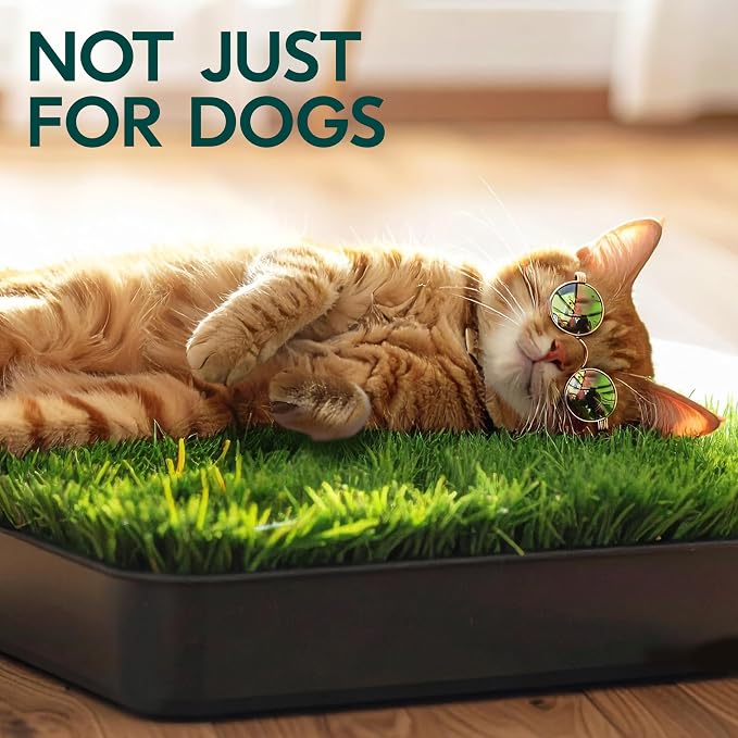 Dog Grass Pad with Tray 23”x35” – Artificial Pet Grass Patch for Dogs’ Potty with 2 Pcs of Washable Pee Pads & Puppy Potty Tray – Dog Litter Box Indoor & Outdoor for Puppy Training