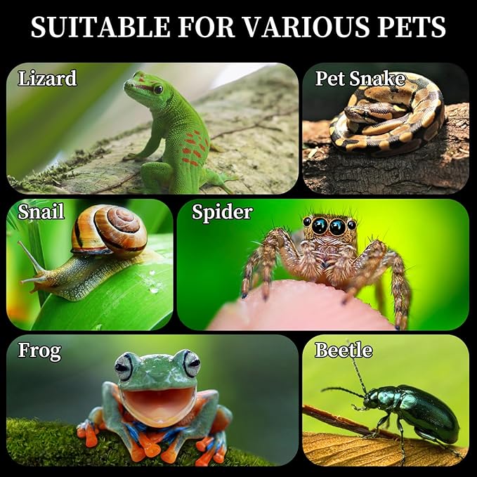 Acrylic Jumping Spider Habitat, Reptile Terrarium Easy Assembly, Bug Enclosure, Praying Mantis Habitat, Frog Enclosure, 9.8 * 5.9 * 5.9in