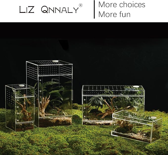 Acrylic Terrarium for Reptiles & Spiders – Small/Medium/Large Leak-Proof Enclosure (Horizontal/Vertical) | Ideal for Tarantulas, Jumping Spiders, Frogs & Geckos(Large, Vertical)