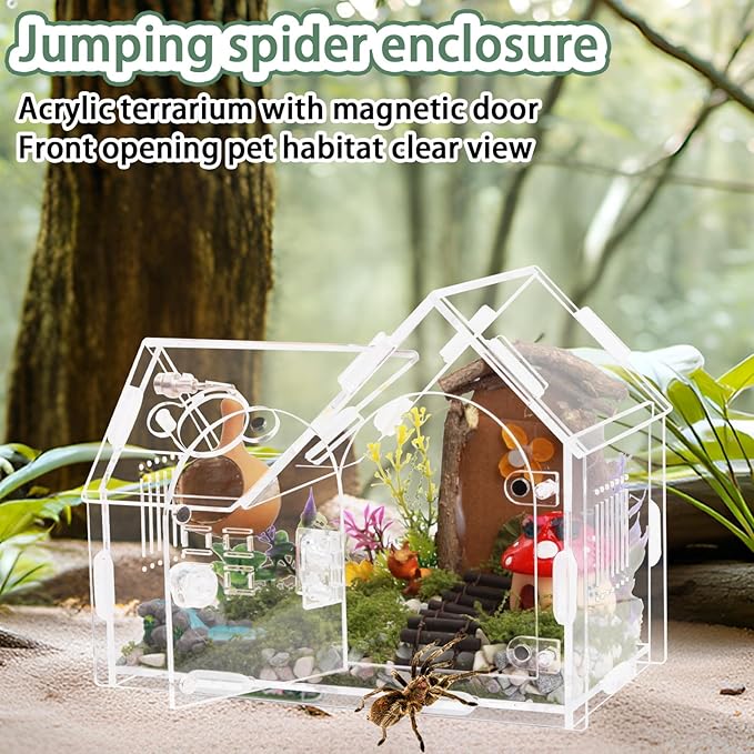 Acrylic Jumping Spider Enclosure with Magnetic Door - Transparent Tarantula Terrarium for Pet Spiders - Secure & Ventilated Reptile Habitat for Hermit Crabs, Geckos, and Small Insects