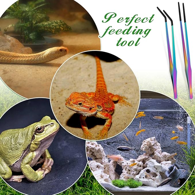 Lasnten 2 Pcs Extra Long Stainless Steel Reptile Feeding Tongs with Rubber Tip 15 Inch Bearded Dragon Aquarium Straight and Curved Long Tweezer Terrarium Feeder Tool for Tank (Colorful)