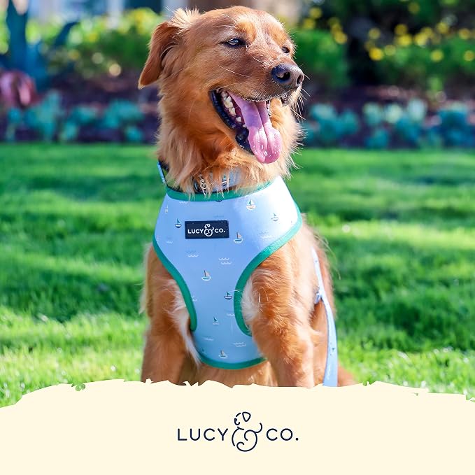 Lucy & Co. Reversible Dog Harness - Water-Repellent Neoprene, Dual-Print Design, Easy Swap Style, Adjustable Comfort Fit - Set Sail Reversible Harness - X-Small