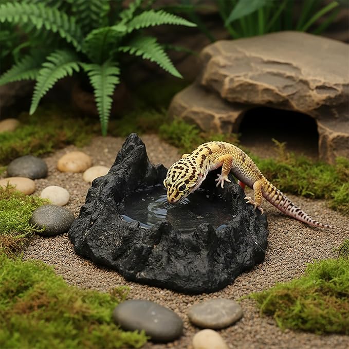 Reptile Water and Food Bowl with Feeding Tweezers Volcanic Rock Style Cement Feeding Dish for Bearded Dragon Leopard Gecko Lizard and Snake Non-Tip Terrarium Decor Landscape Accessory (Black)